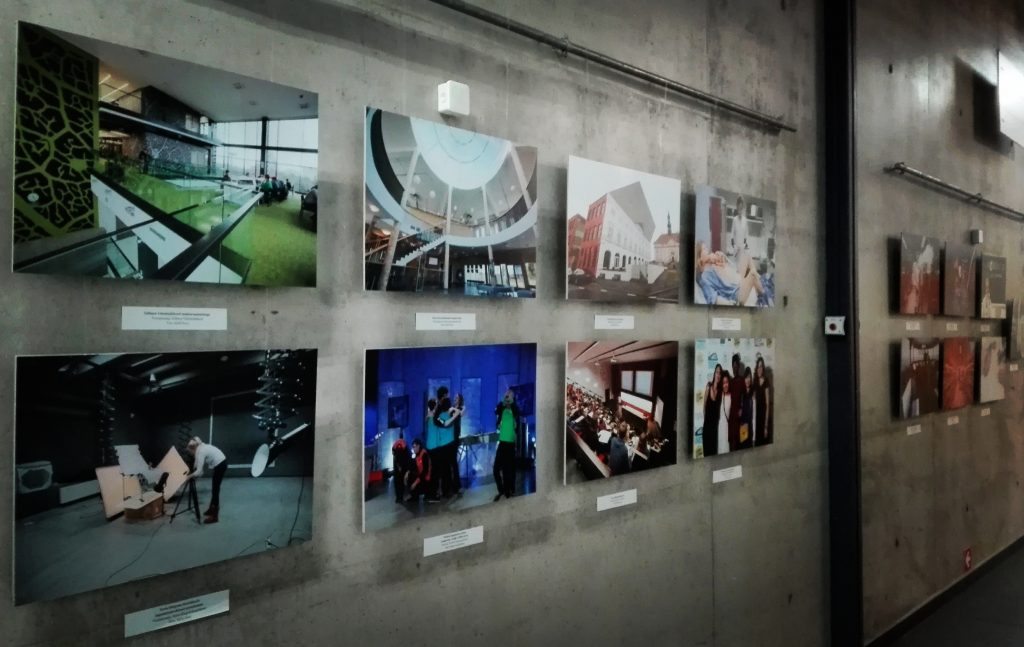 tallinnuni_20072013